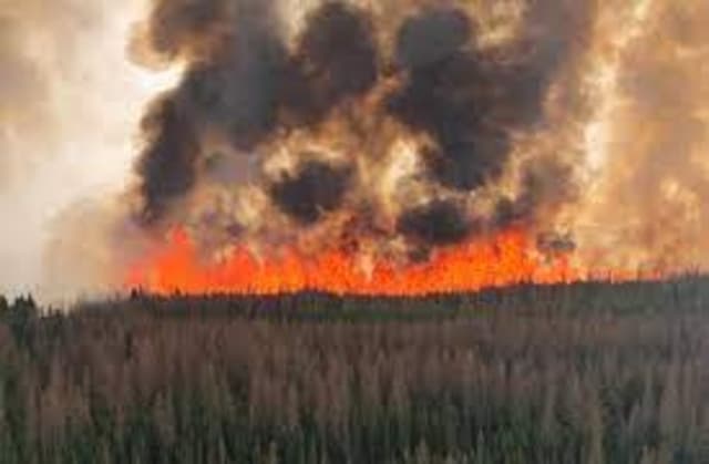 कनाडाई प्रांत अल्बर्टा के जंगलों की आग का धुआं पहुंचा अमरीका तक