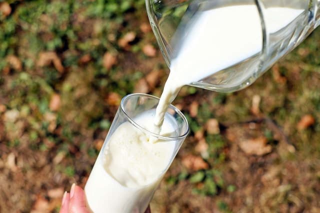 World Milk Day 2023: इन बेहद आसान और स्वादिष्ट रेसिपी के साथ मनाएं विश्व दुग्ध दिवस