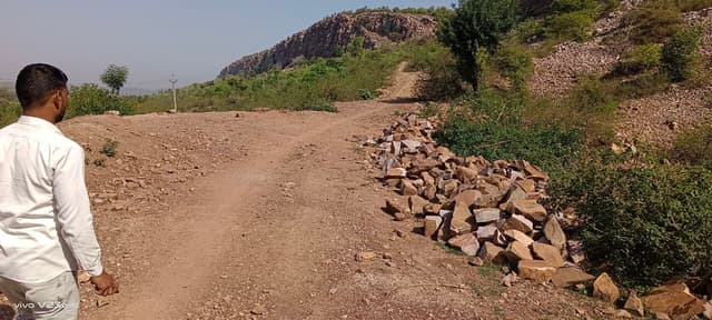 Forest Department Rajasthan : वन विभाग को पता चला न पंचायत को, सैकड़ों पेड़ काट पहाड़ी पर सड़क बना दी