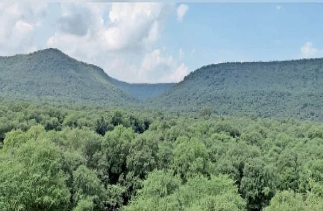 रणथम्भौर: दो साल में बढ़ा 30 वर्ग किमी जंगल