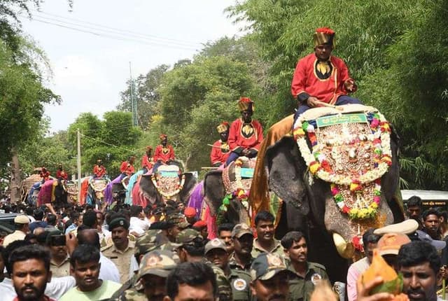 PHOTO मैसूरु दशहरा महोत्सव की तैयारियां शुरू : जंबो सवारी के हाथियों का दल पहुंचा