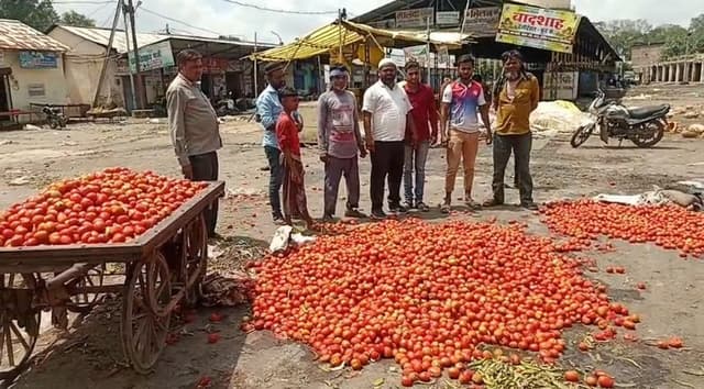 दो रुपए किलो बिक रहे टमाटर, नाराज किसानों ने सडक़ पर फेंका