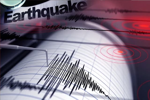 Explainers: क्यों लगते हैं भूकंप के झटके, किस जीव को धरती पर झटके लगने की मिलती है सबसे पहले जानकारी?