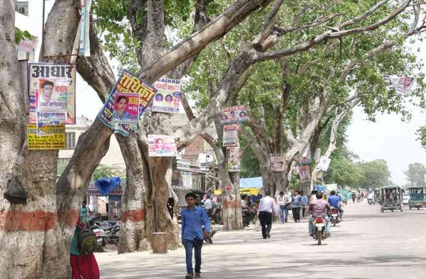 college election कॉलेज में चुनावी रंग, शहर बदरंग