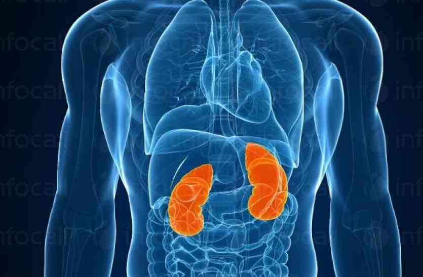 nephrology department in jodhpur जोधपुर में इन पेशेंट्स को राहत मिली लेकिन फिर छिन ली गई,जानिए क्या है पूरा माजरा...