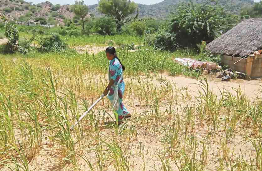 chhindwara एेसी कौन सी मुसीबत आई,प्रथम पूज्य से मांगनी पड़ी मनौती