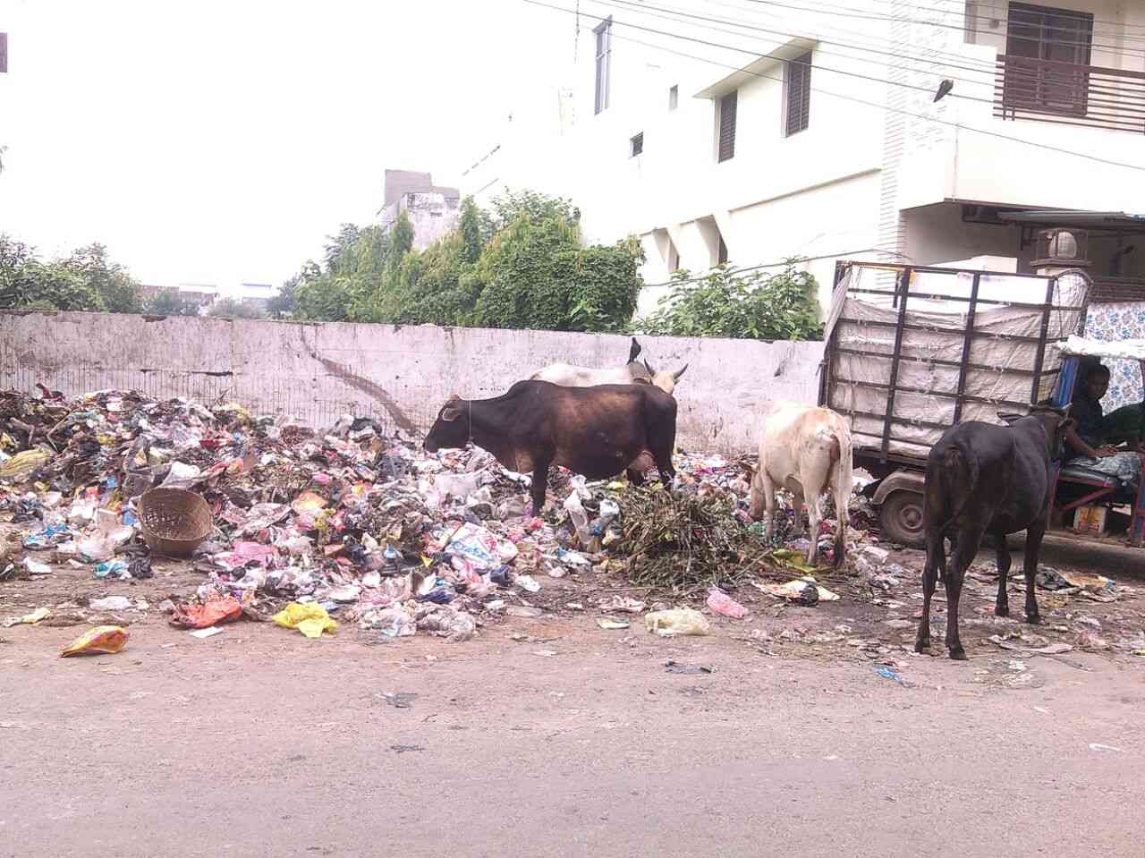 Swachata Abhiyan in Gorakhpur