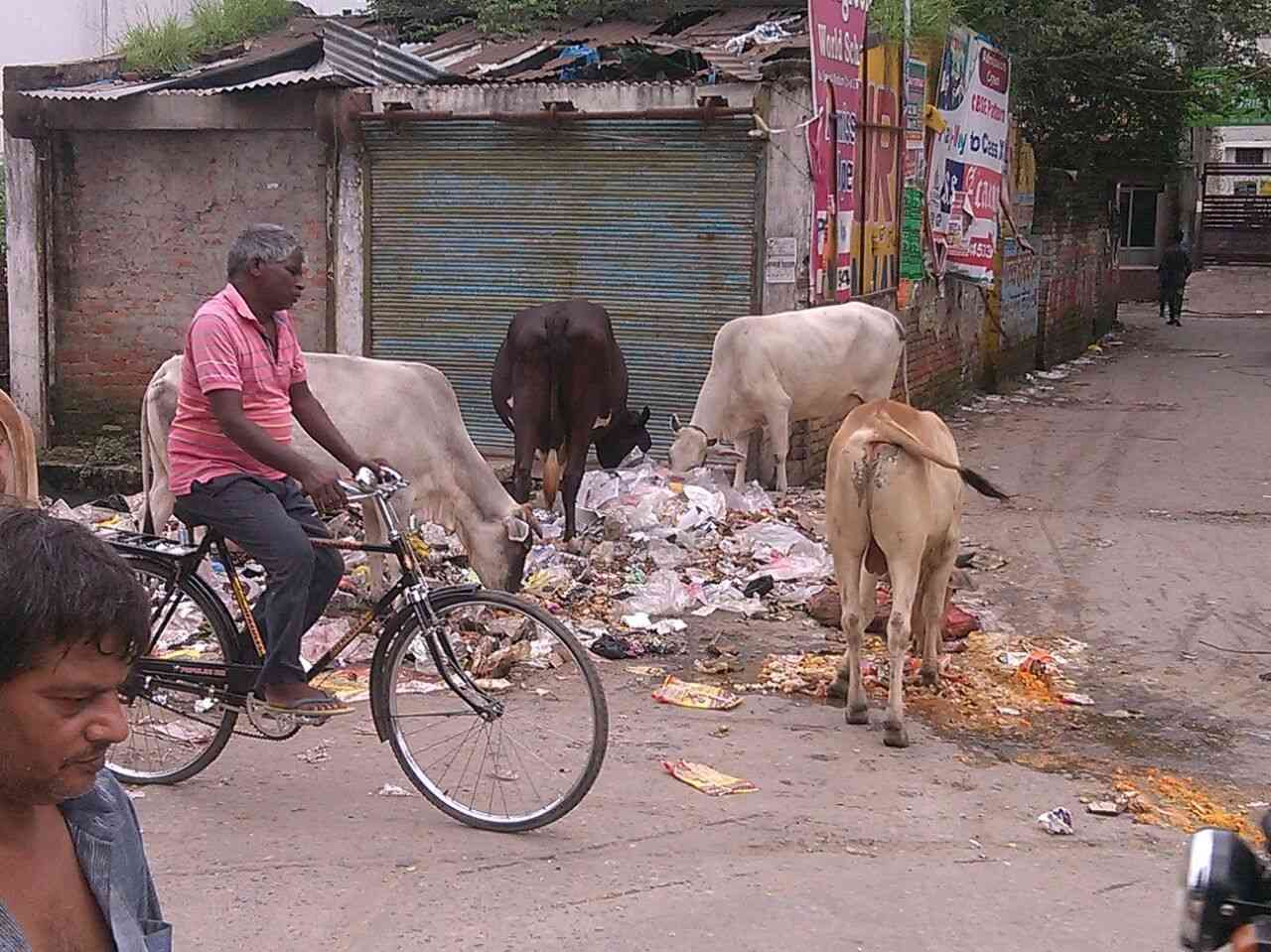 Swachata Abhiyan in Gorakhpur