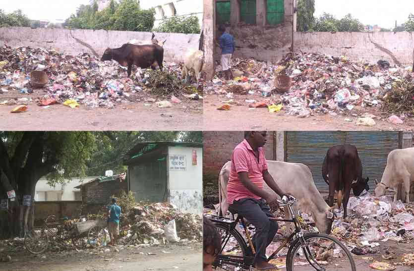 Swachata Abhiyan in Gorakhpur बीजेपी के स्वच्छता अभियान को मुंह चिढ़ा रही मुख्यमंत्री योगी के शहर की गंदगी