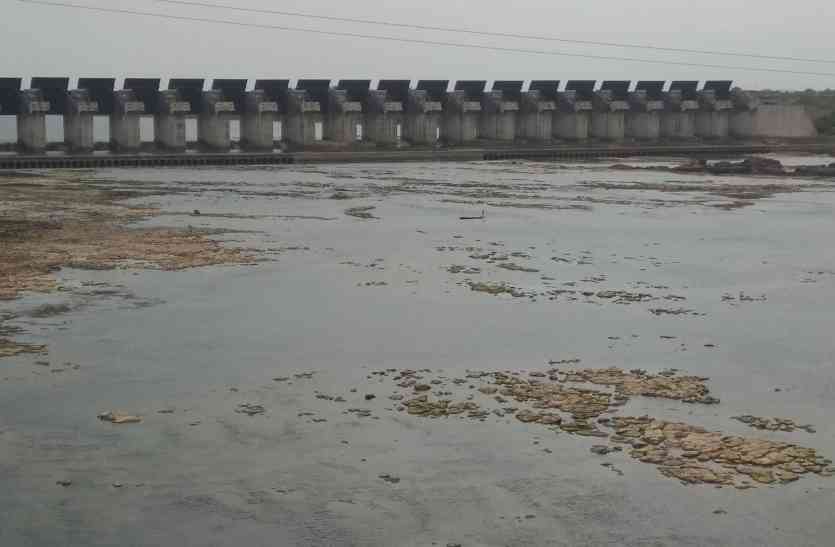 Maheshwar dem project उच्च न्यायालय ने डूब प्रभावितों की याचिका पर सुनवाई करते हुए सरकार को दिया नोटिस