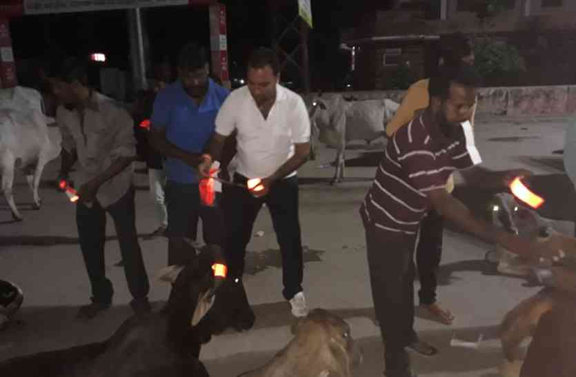 save life #PATRIKA CAMPAIGN : देर रात क्या हुआ गायों के साथ कि सब देखते रह गए