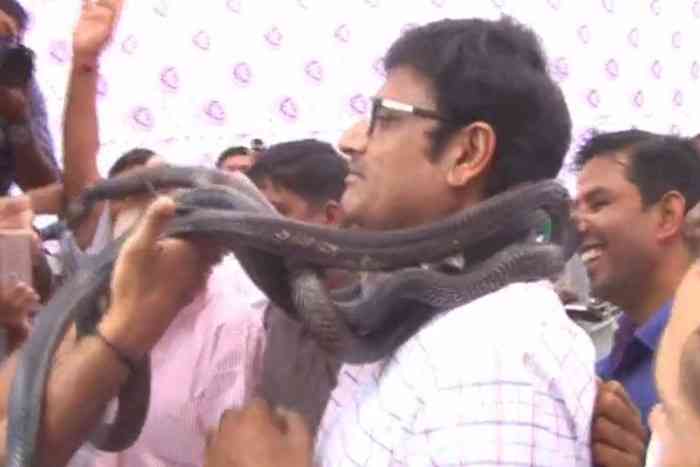 rajendra rathore