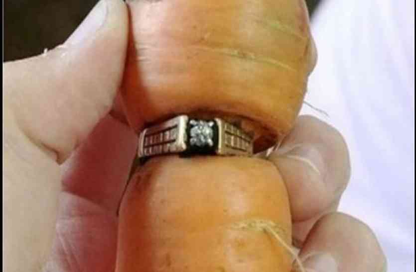 ring in carrot गाजर में फंसी मिली 13 साल पहले खोई डायमंड रिंग