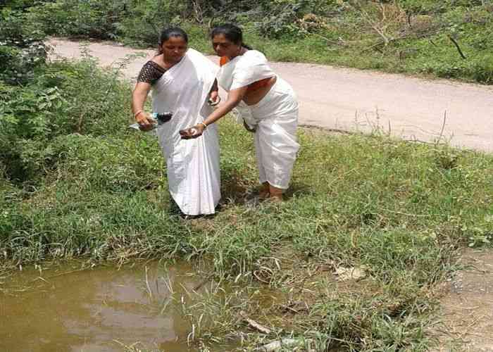 रायपुर के पास रक्त के नमूने लेती टीम व दवा का छिडक़ाव करती एएनएम।