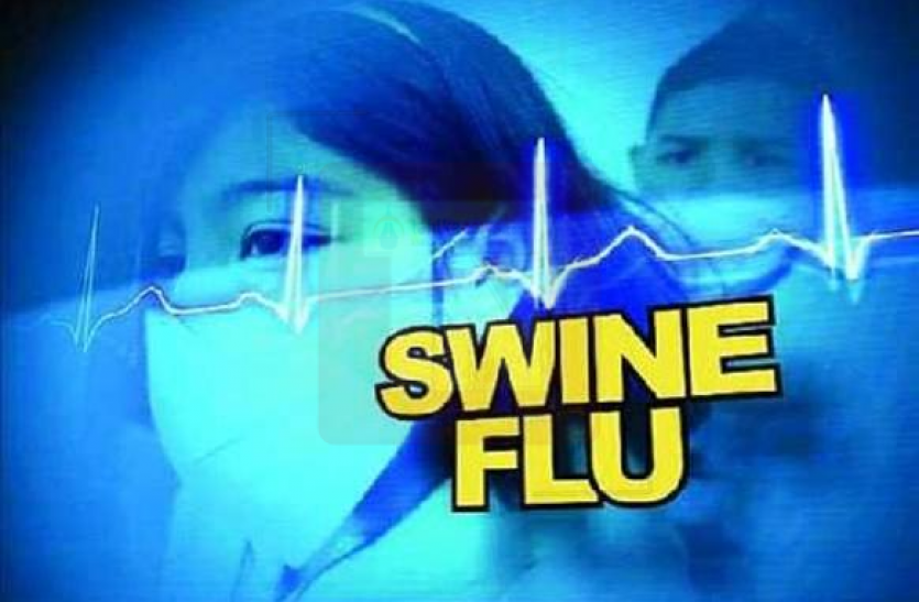 Swine Flu in Dengue Season डेंगू के सीजन में स्वाइन फ्लू का कहर