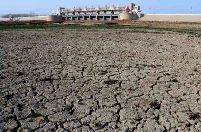 water will be released for crops drinking water crisis फसलों के लिए पानी छोड़ा तो हो जाएगा पेयजल संकट, देखें किस तरह सूख रहा बरगी डेम