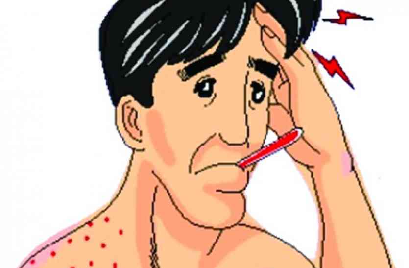 Dengue patients यहां पर सरपंच के घर मिले डेंगू मरीज