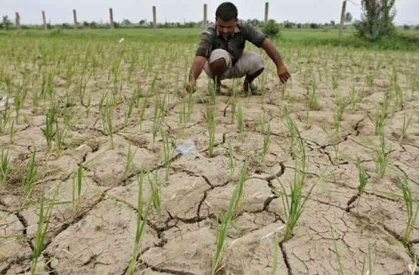 Farmer प्रदेश में सुस्त मानसून ने बढ़ाई किसानों की चिंता, मध्य भारत के राज्यों में हुआ सक्रिय