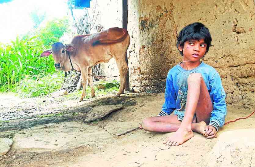 umesh तीन साल बाद खूंटे से आजाद हुआ उमेश, पत्रिका में खबर के बाद अब ऐसे हुआ इलाज मुमकिन