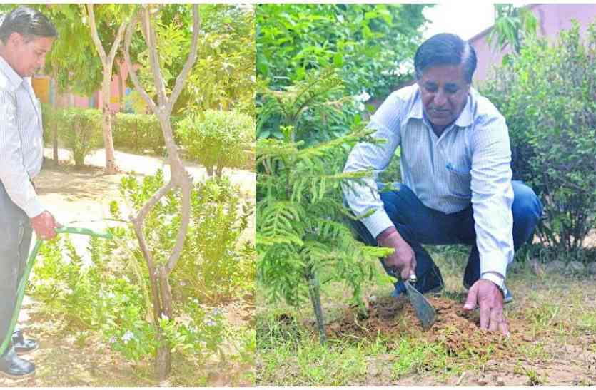 Retired principal friendship with tree सेवानिवृत होते ही इस प्रिंसिपल ने सबसे पहले इनसे की दोस्ती, जो बन गई मिसाल