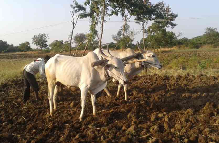khet मोटर का काटा कनेक्शन तो किसान ने खा लिया जहर