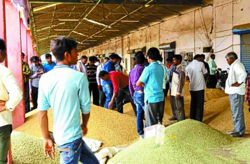 Mandi's joint, find online bids आपस में जुड़ेंगी मंडियां, ऑनलाइन लगेगी बोली