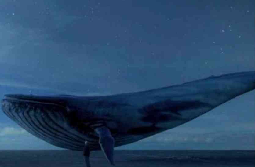 Blue Whale Tasks List Blue Whale Game 50 Challenge Tasks - ये हैं