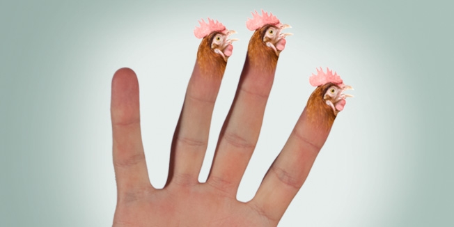 part of body is connected to fingers