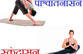yogasan yogasan
