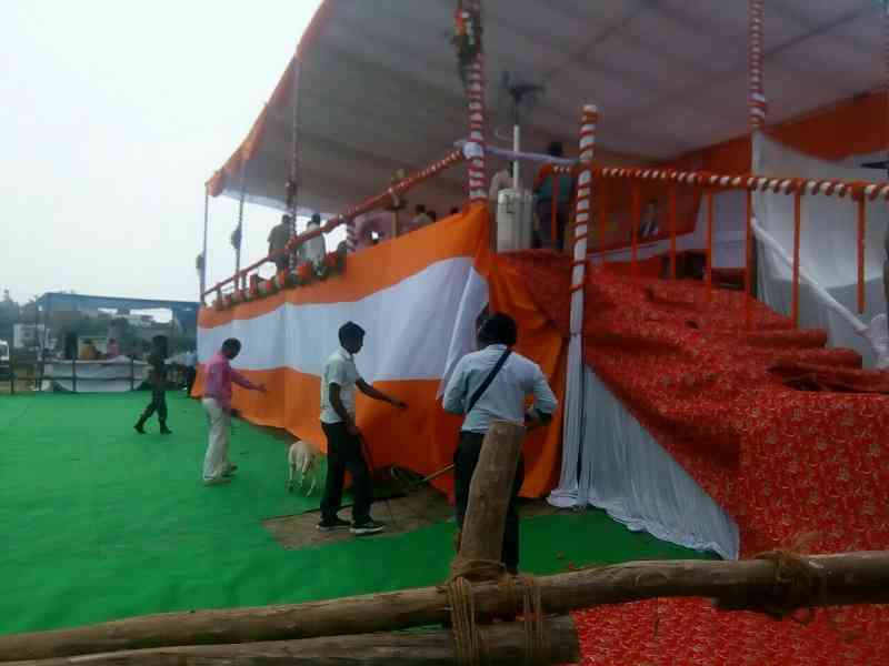 Deputy Cm