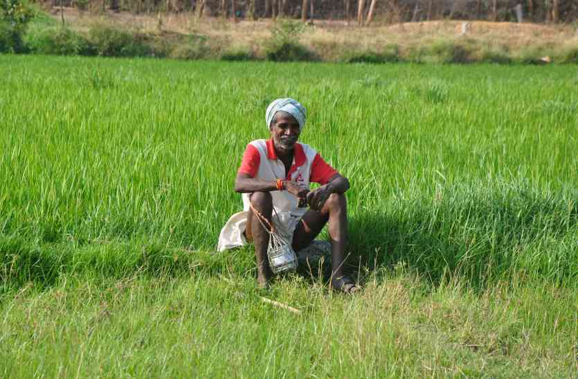 farmer पांच हजार किसानों को बटेगा फसल ऋण मोचन प्रमाण पत्र