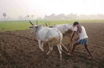 indian farmer indian farmer
