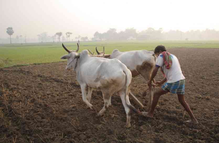 indian farmer यह होगा कैसे!