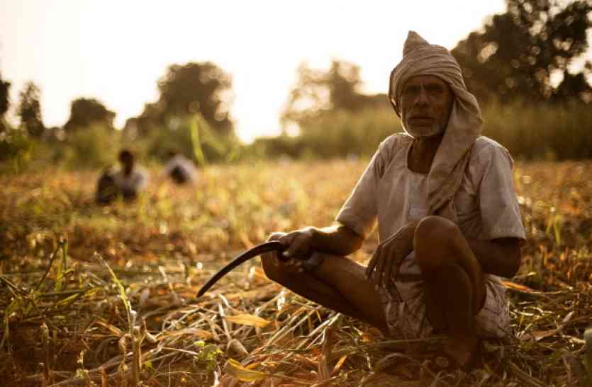 indian farmer केन्द्र व राज्य के पालों में झूलती कृषि समस्याएं