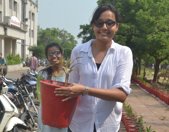 Tree Plantation by IMA Woman Wing and Rotary Club Padmini Tree Plantation by IMA Woman Wing and Rotary Club Padmini