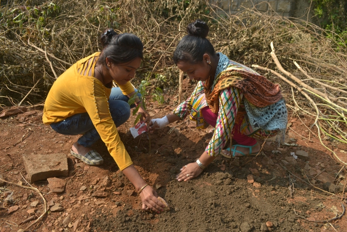 Tree Plantation by IMA Woman Wing and Rotary Club Padmini Tree Plantation by IMA Woman Wing and Rotary Club Padmini