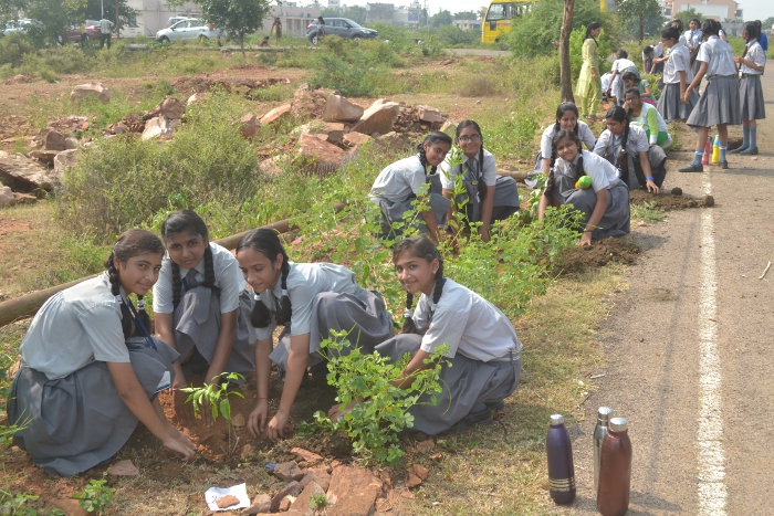 Tree Plantation by IMA Woman Wing and Rotary Club Padmini Tree Plantation by IMA Woman Wing and Rotary Club Padmini