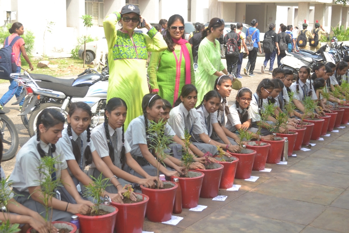Tree Plantation by IMA Woman Wing and Rotary Club Padmini Tree Plantation by IMA Woman Wing and Rotary Club Padmini