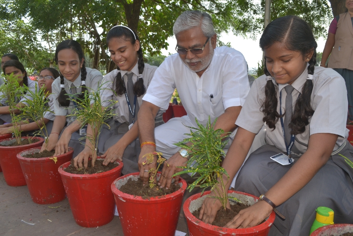 Tree Plantation by IMA Woman Wing and Rotary Club Padmini Tree Plantation by IMA Woman Wing and Rotary Club Padmini