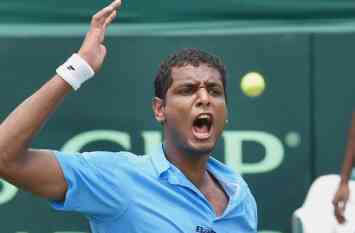 davis cup davis cup