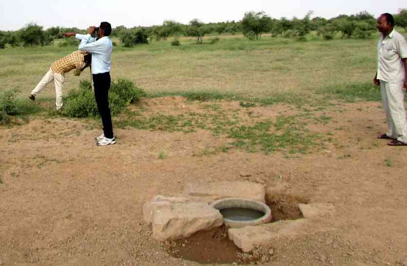 Jaisalmer patrika Jaisalmer- खुशखबरी...पोकरण में बढ़ा गोडावण का कुनबा, 11 से हुए 31