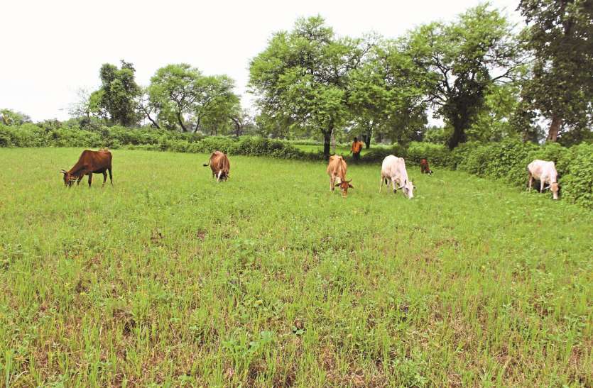 seoni अपर मुख्य सचिव ने मांगी स्थलों की सूची