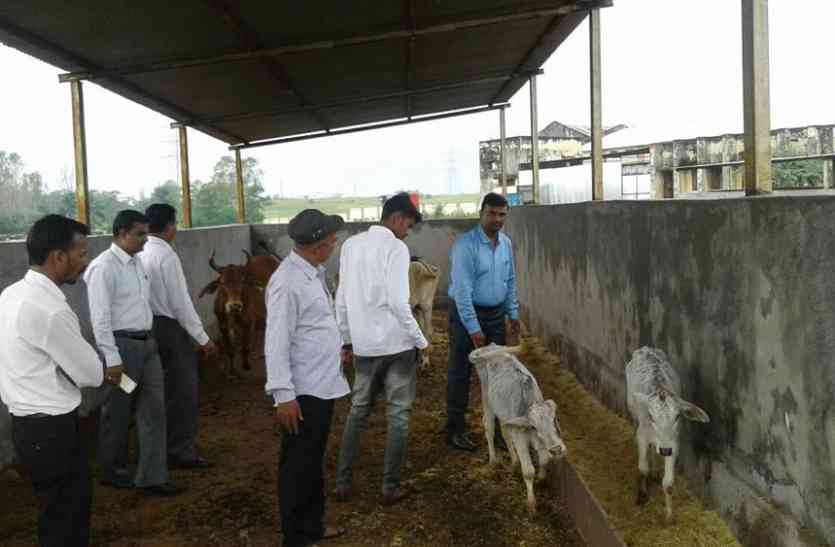 pratapgarh निराश्रित गौ गृह का किया निरीक्षण