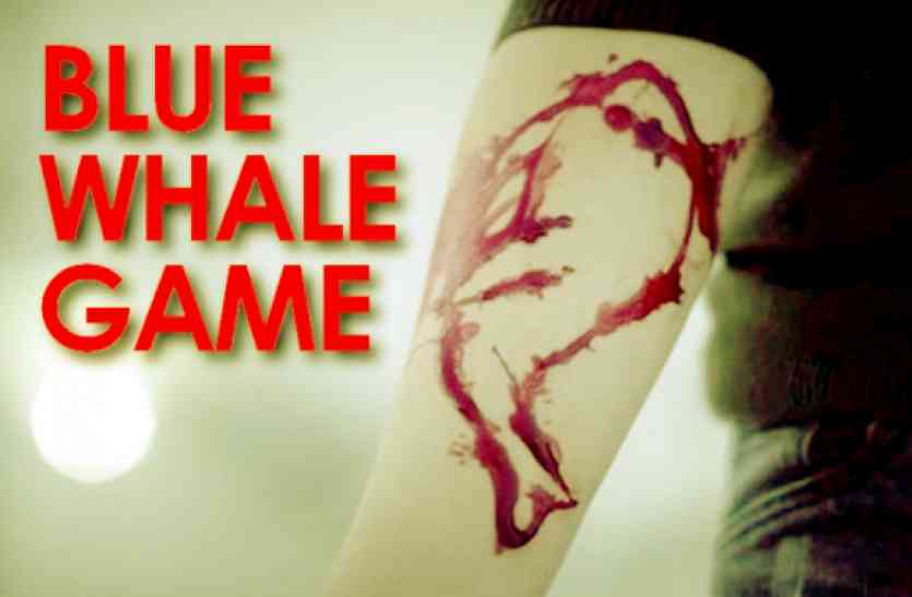 blue whale suicide squad game download MP के इन शहरों में तेजी से सर्च हो रहा ब्लू व्हेल गेम, डाउनलोडिंग से ज्यादा जानकारी के लिए हो रहा उपयोग