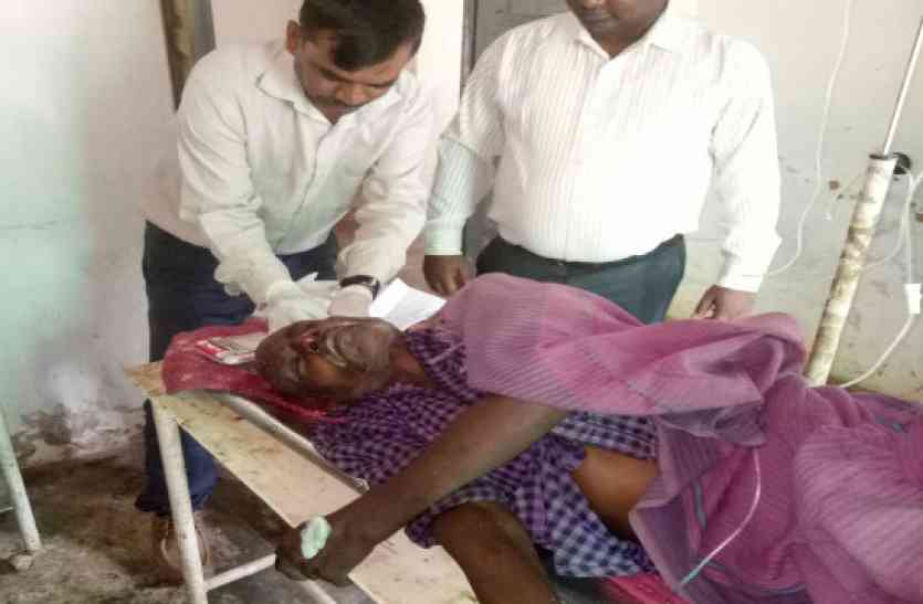 injured in hospital खुखड़ी उखाडऩे जंगल में गया तो मौत से हो गया सामना, लहूलुहान होते तक लड़ा और बचा ली जिंदगी