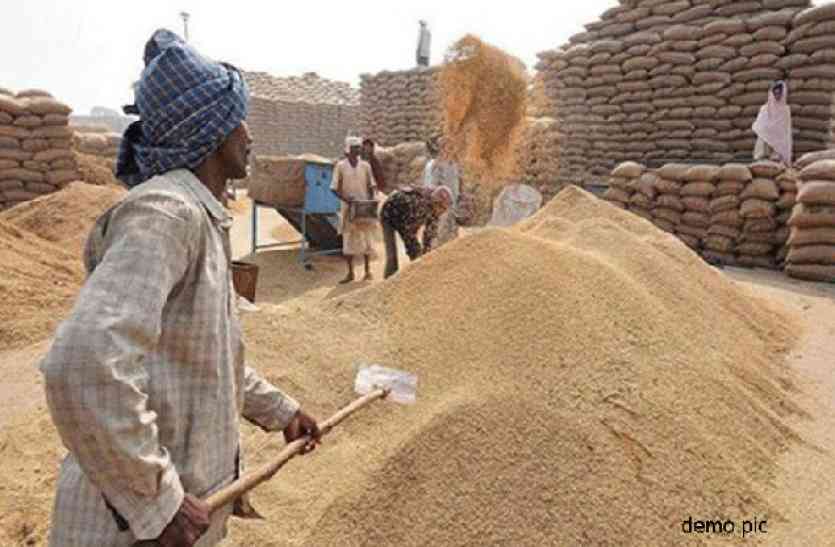 paddy procurement centers धान खरीदी केंद्रों में छत्तीसगढ़ के किसानों के साथ हो रही ठगी, एेसे खुला राज