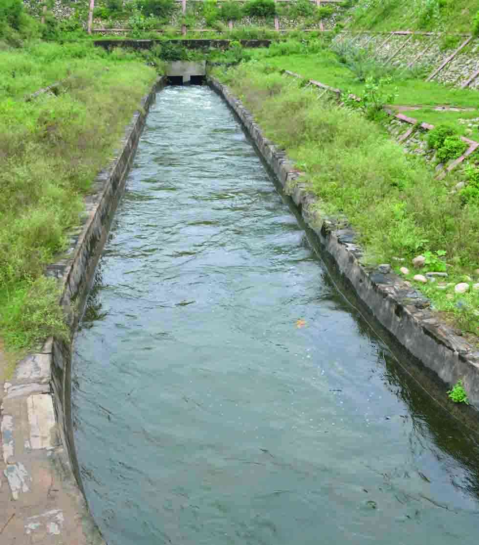overflow rajsamand lake, rajsamand lake overflow, rajsamand lake water level, Rajsamand Hindi news, Rajsamand Lake, Latest News rajsamand, Latest hindi news rajsamand, Rajsamand