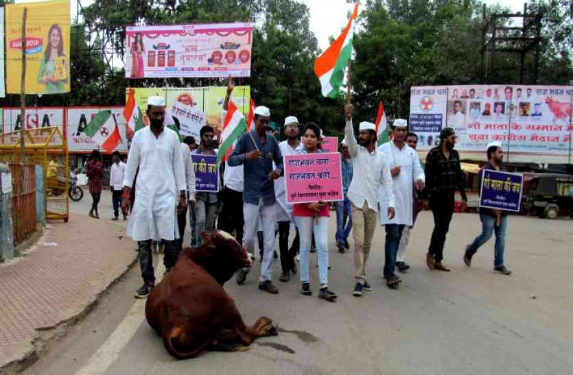 yuoth congress गाय को राष्ट्रमाता का दर्जा दिलाने पैदल यात्रा पर निकले युकां कार्यकर्ता