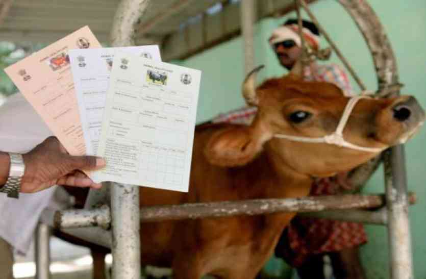Animal Law Centre भारत का पहला पशु कानून केंद्र हैदराबाद में स्थापित