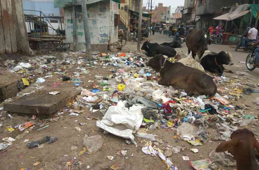 Cleanliness campaign अभियान की पोल खोल रहा कचरा, हकीकत से दूर निगम की व्यवस्था